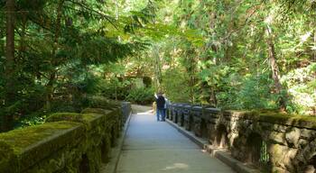 Whatcom Falls Park og byder på skove og en bro