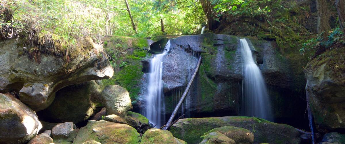 Whatcom Falls Park which includes a cascade, forests and a river or creek