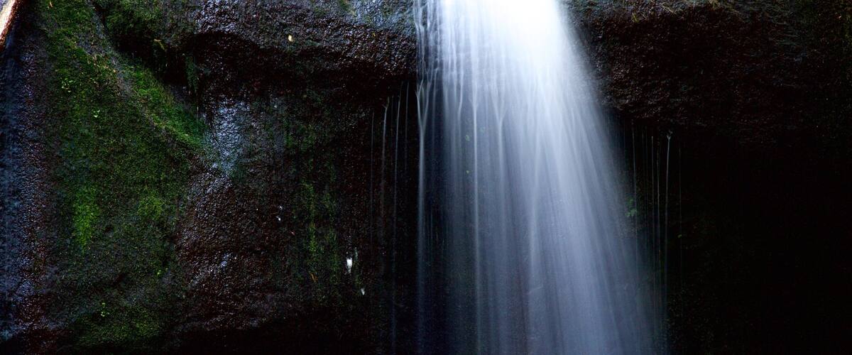 Whatcom Falls Park which includes a waterfall and forest scenes