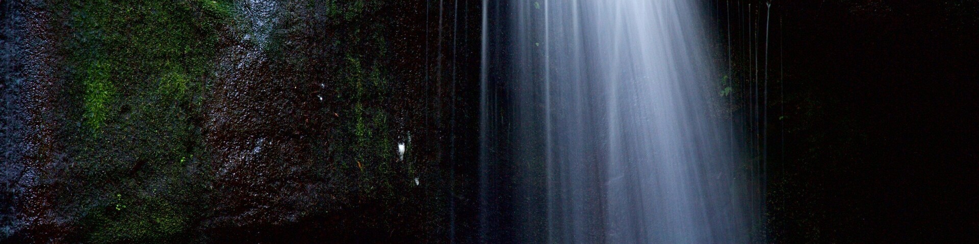 Whatcom Falls Park which includes a cascade and forests