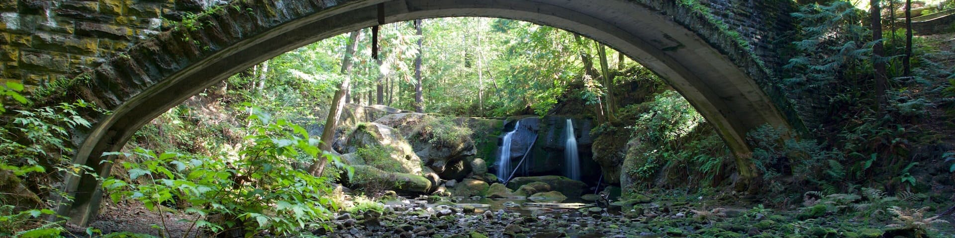 Whatcom Falls Park showing a river or creek, a bridge and a waterfall