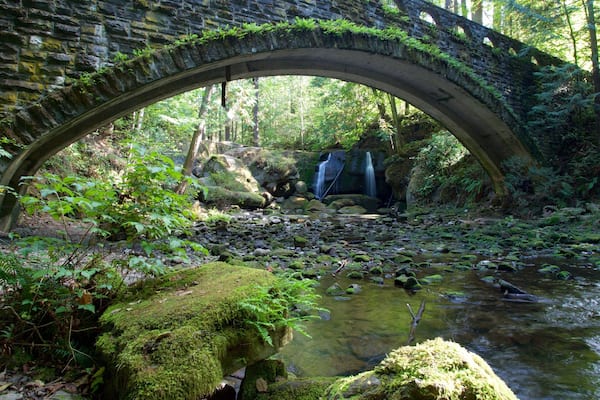Whatcom Falls Park que incluye un río o arroyo, bosques y una cascada