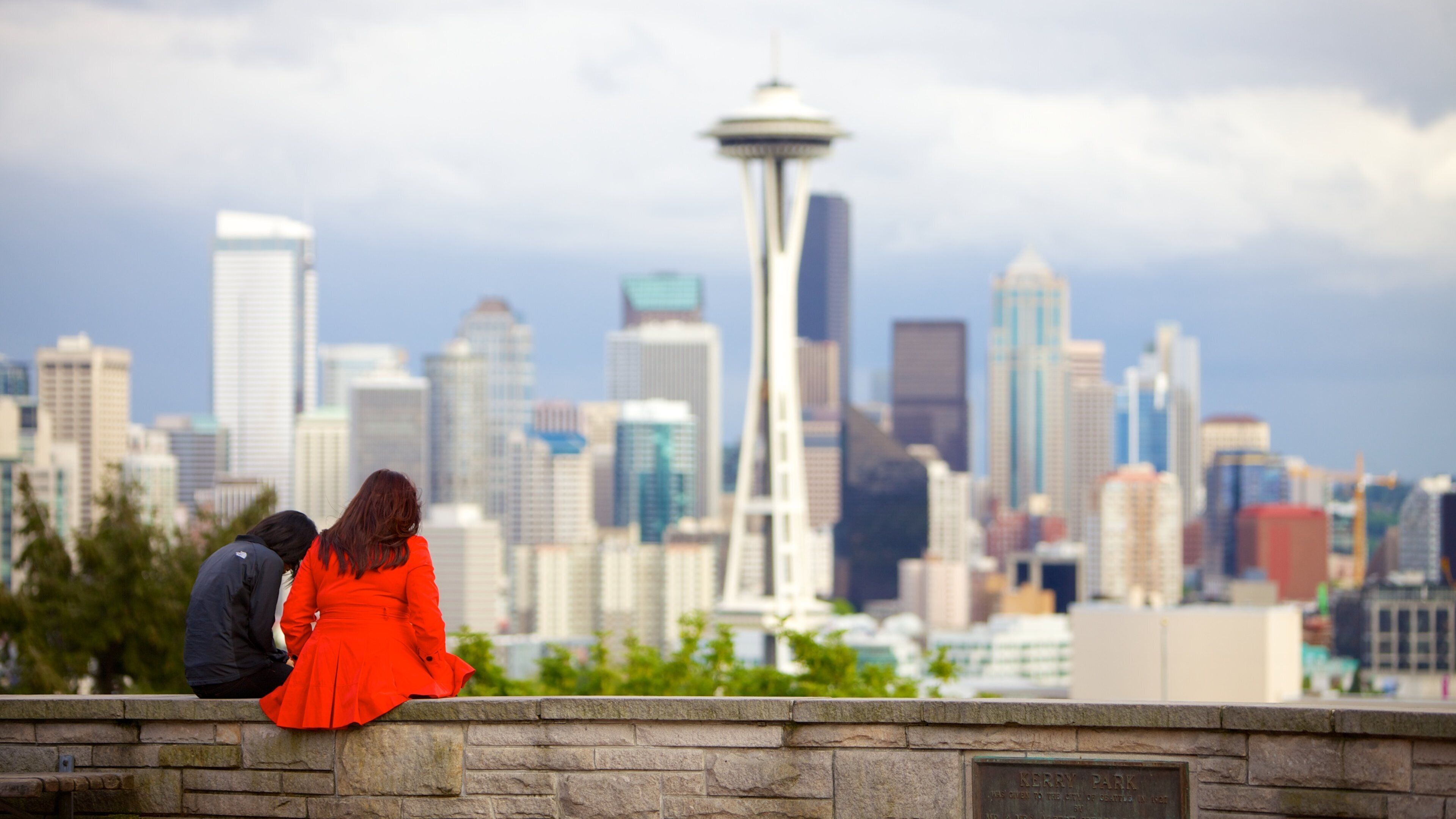 Kerry Park showing a skyscraper, a city and views