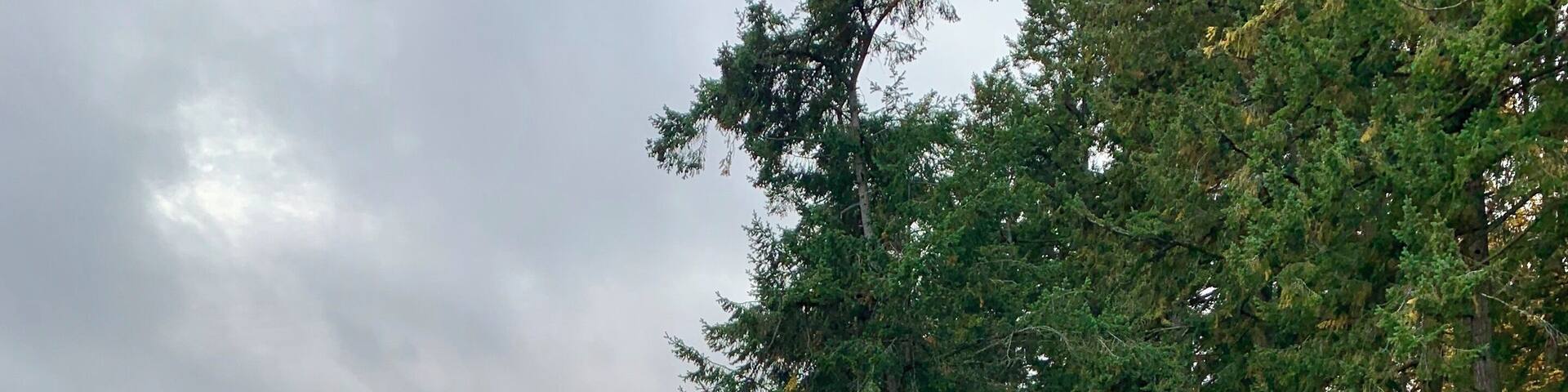 Beautiful scenery at the sweet little Manchester State Park. A very peaceful place to watch the ferries sail by. #seattleferries #seattle #portorchard