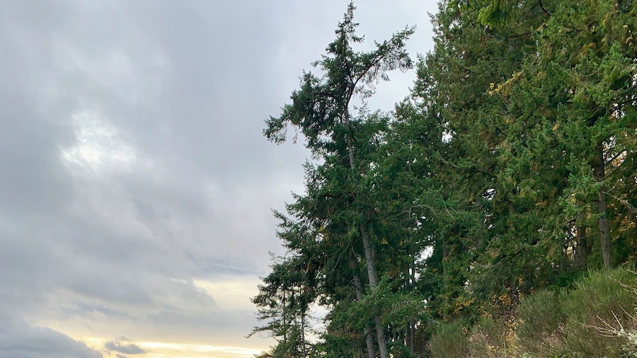 Beautiful scenery at the sweet little Manchester State Park. A very peaceful place to watch the ferries sail by. #seattleferries #seattle #portorchard