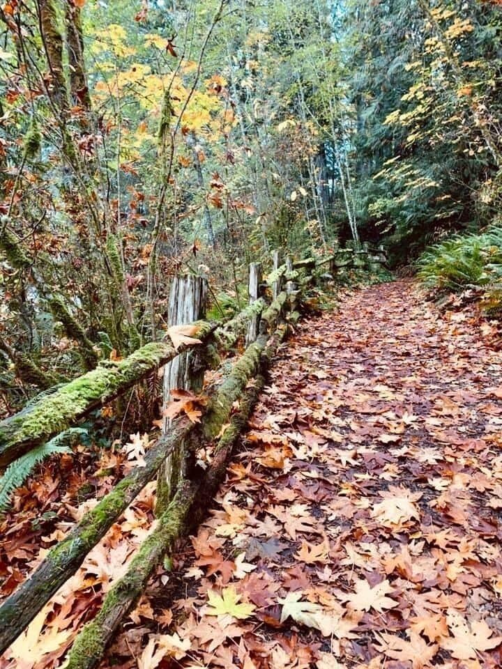 Fall foliage at Manchester state park