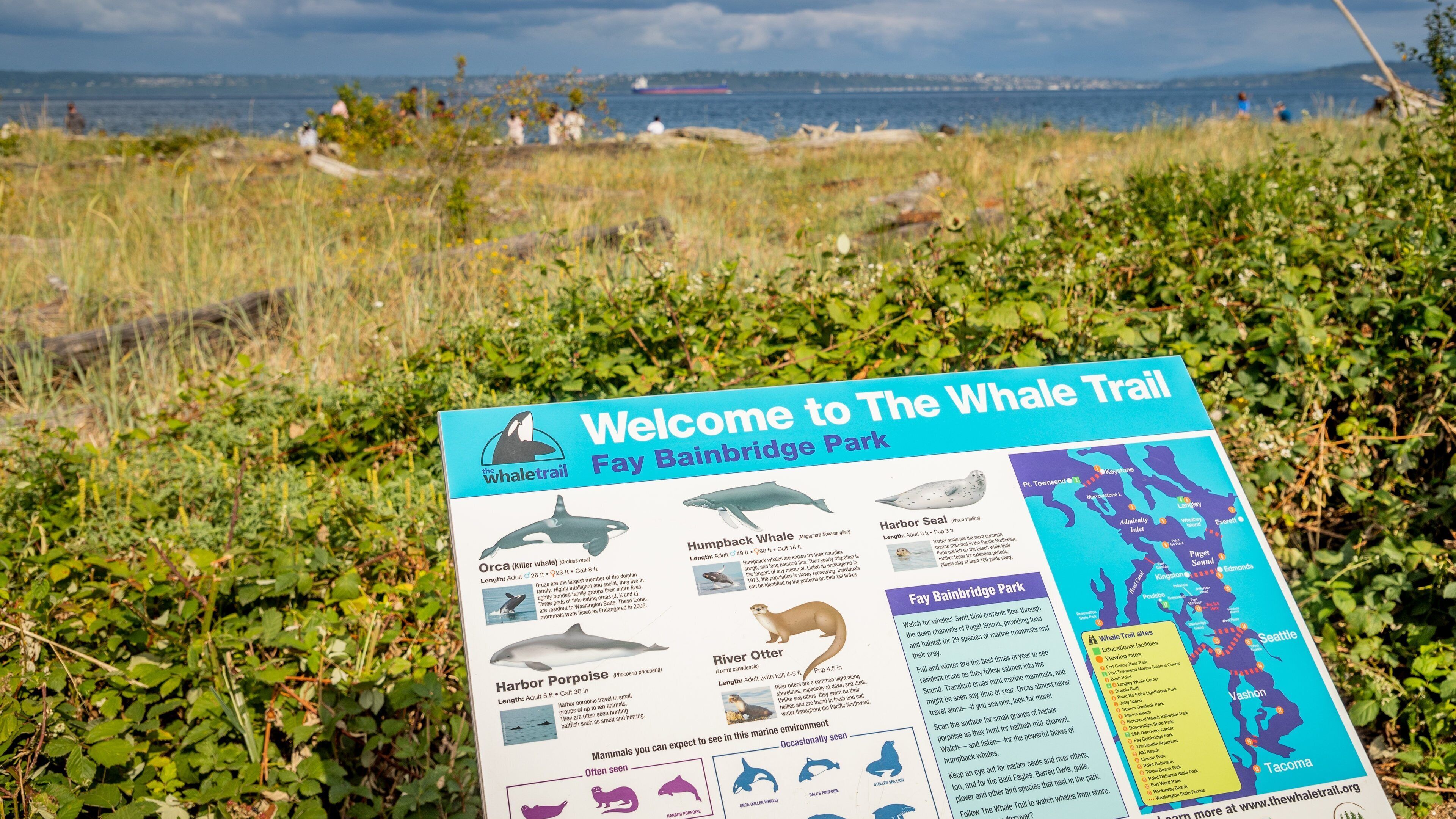 Fay Bainbridge State Park which includes general coastal views and signage