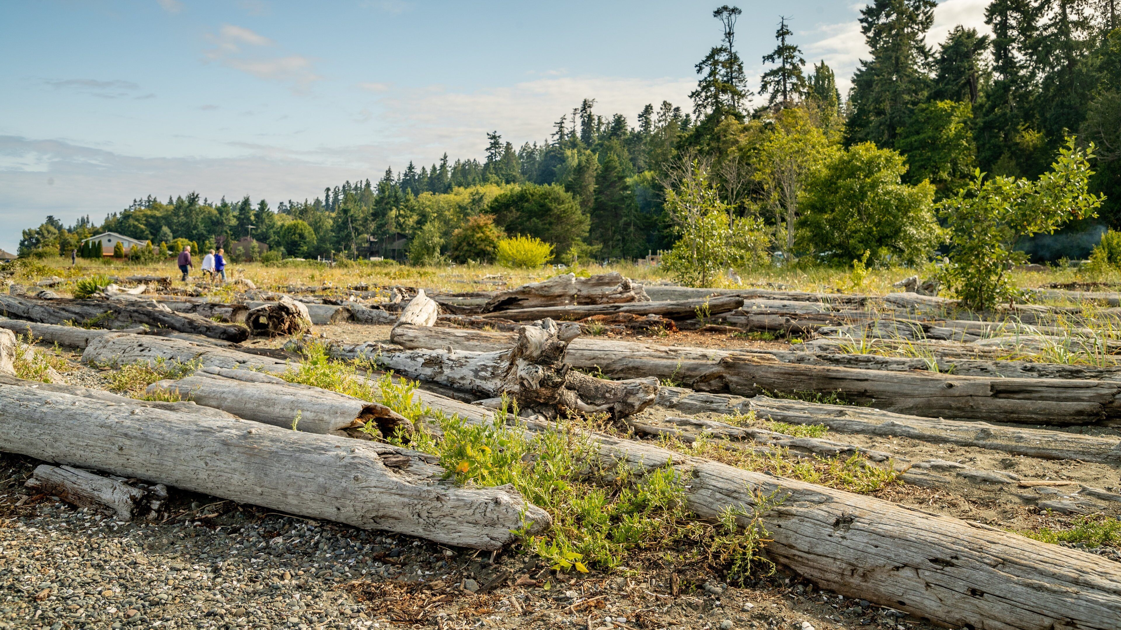 Fay Bainbridge State Park featuring tranquil scenes as well as a small group of people