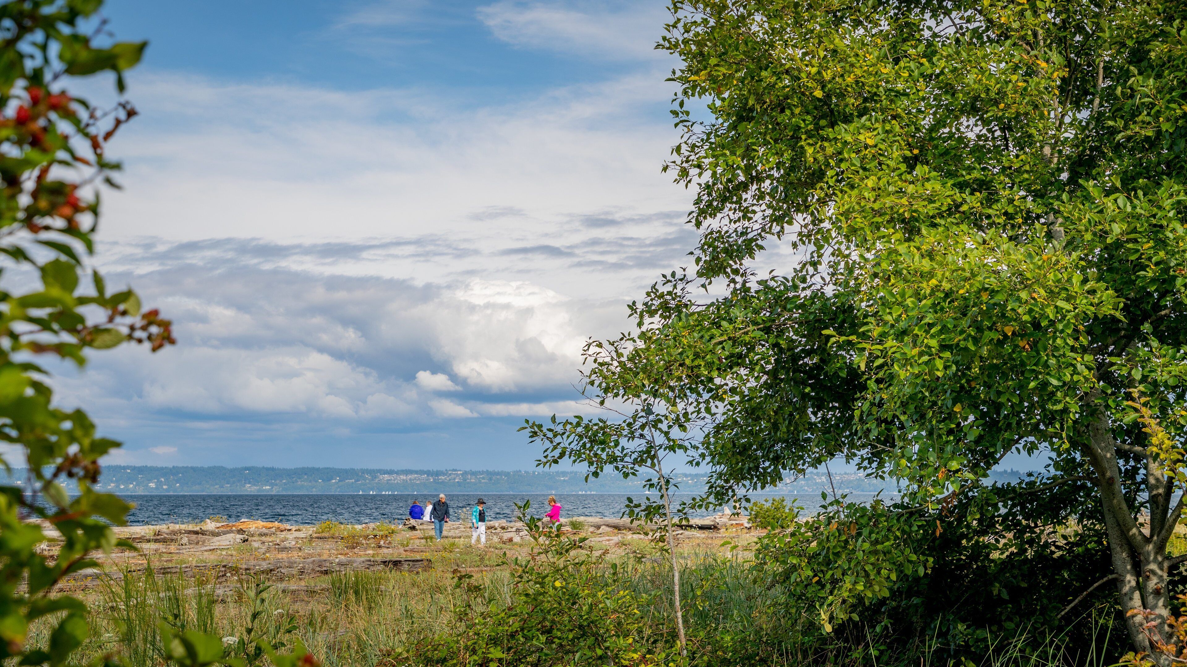 A coastal landscape with rocky terrain, a body of water, and a few people walking.