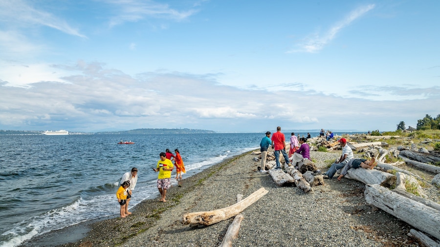 Fay Bainbridge State Park featuring general coastal views and a pebble beach as well as a small group of people