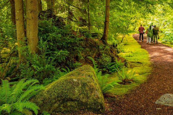 Bloedel Reserve showing forest scenes and hiking or walking as well as a small group of people