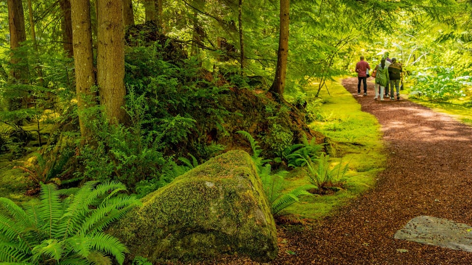 Bloedel Reserve showing forest scenes and hiking or walking as well as a small group of people