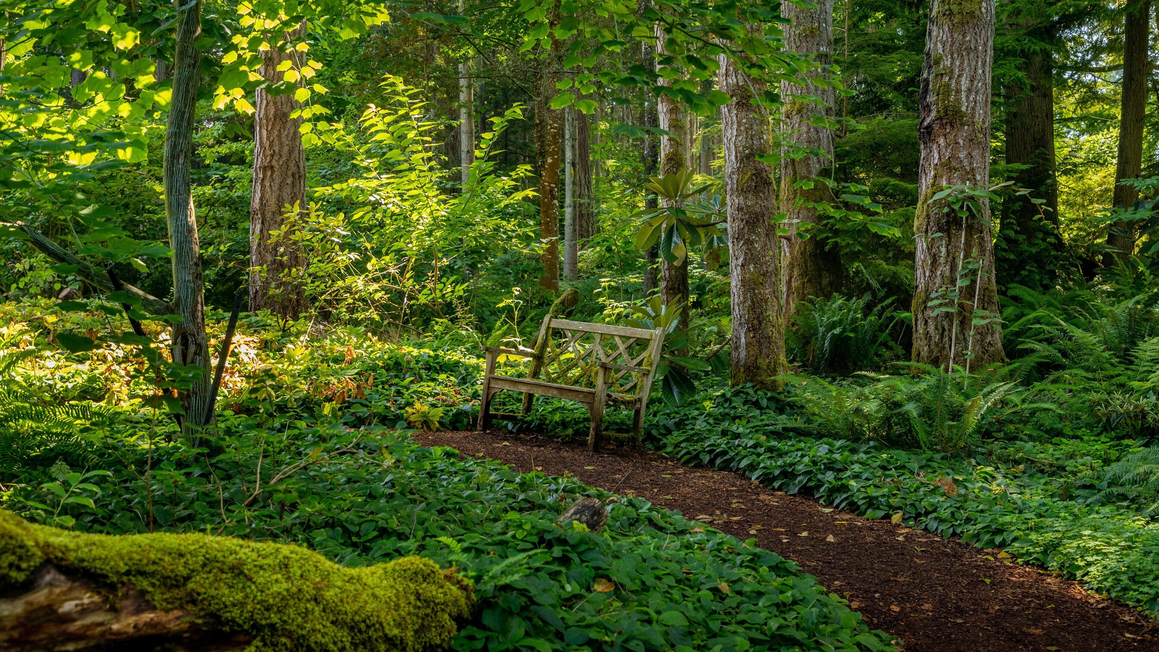 Bloedel Reserve showing a park