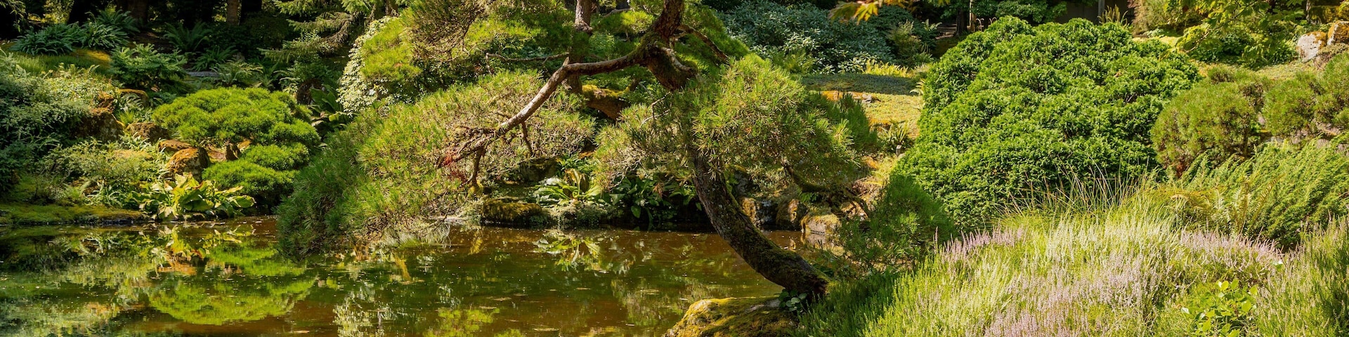 Bloedel Reserve showing a pond