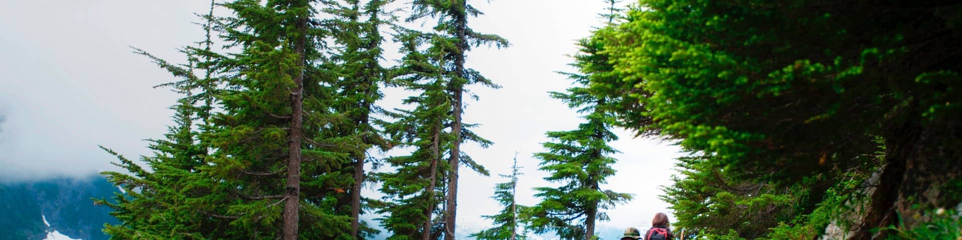 North Cascades Nationalpark das einen ruhige Szenerie und Wandern oder Spazieren sowie Paar