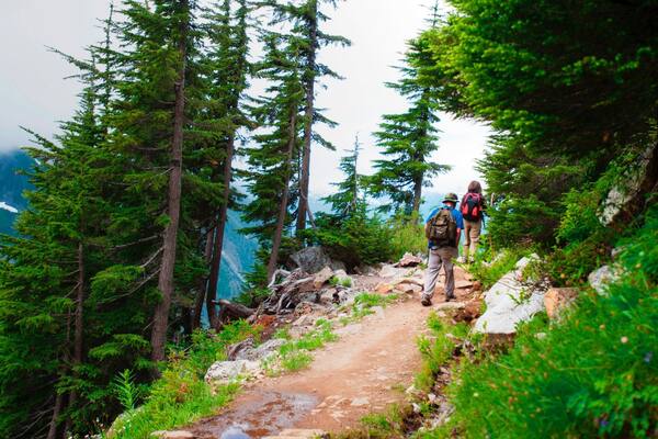 North Cascades Nationalpark das einen ruhige Szenerie und Wandern oder Spazieren sowie Paar