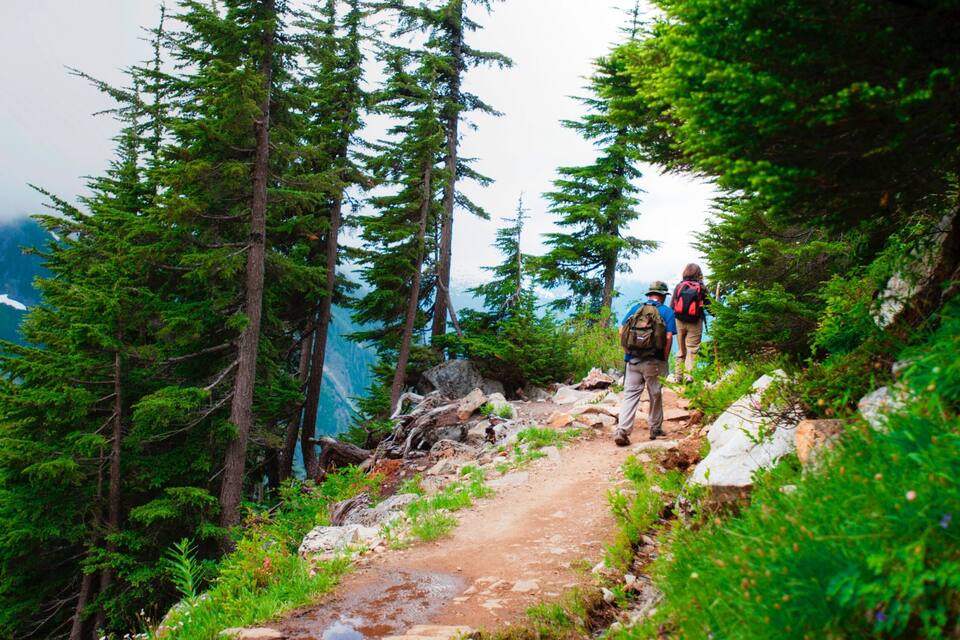 A hiking trail surrounded by dense coniferous forest and rocky terrain.