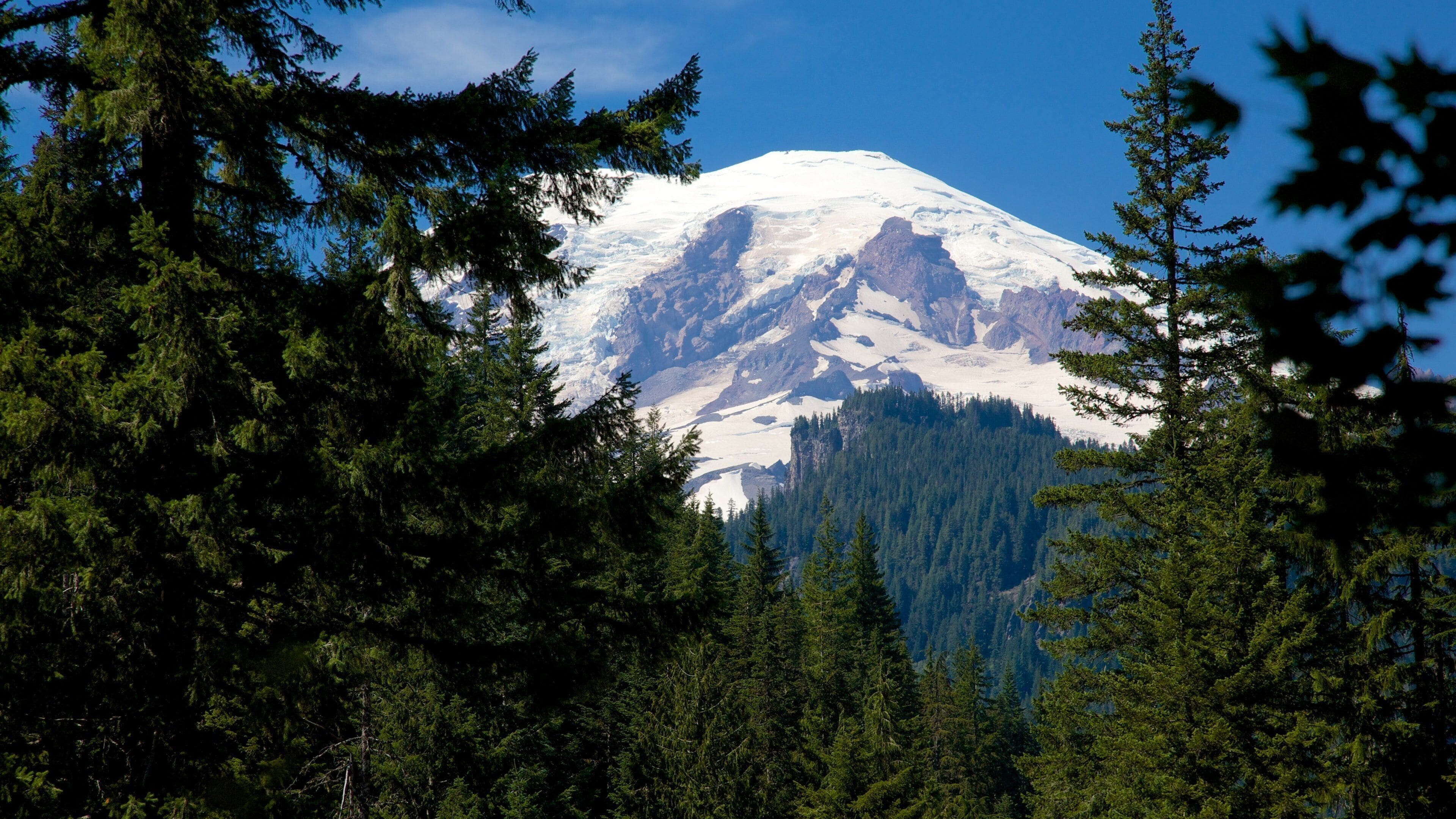 Mount Rainier National Park which includes snow, tranquil scenes and forest scenes