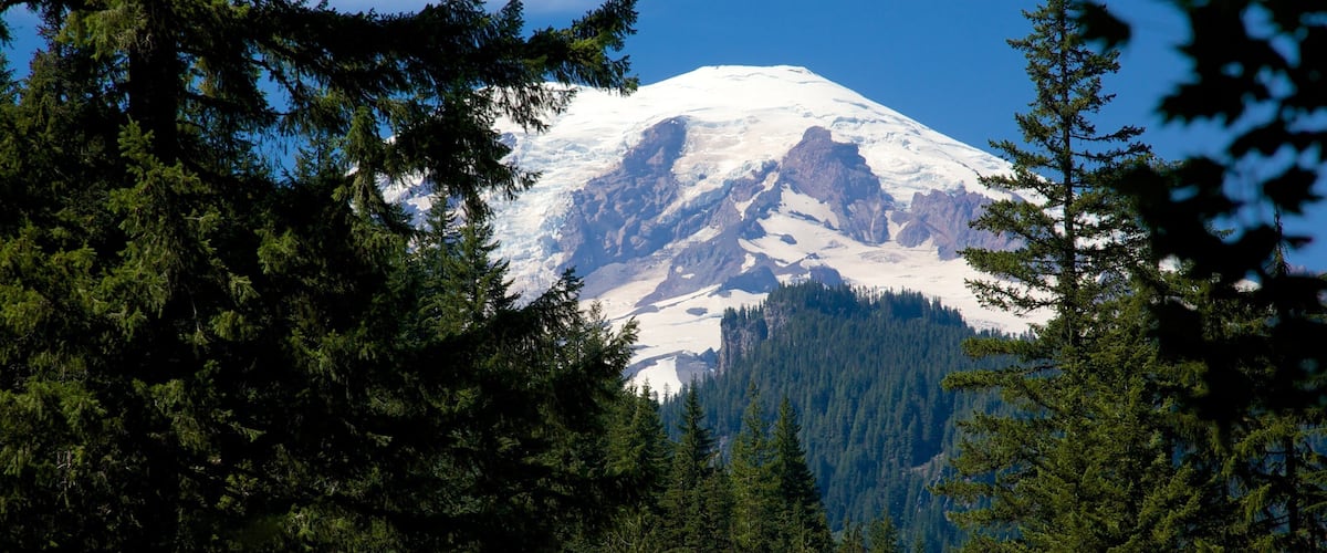 Parque Nacional del Monte Rainier mostrando escenas tranquilas, bosques y nieve