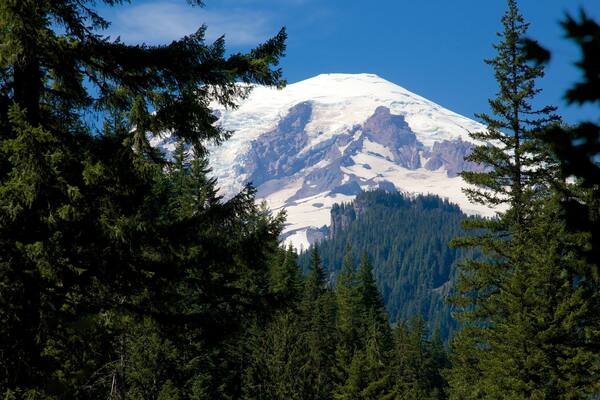 Mount Rainier National Park which includes snow, forests and tranquil scenes