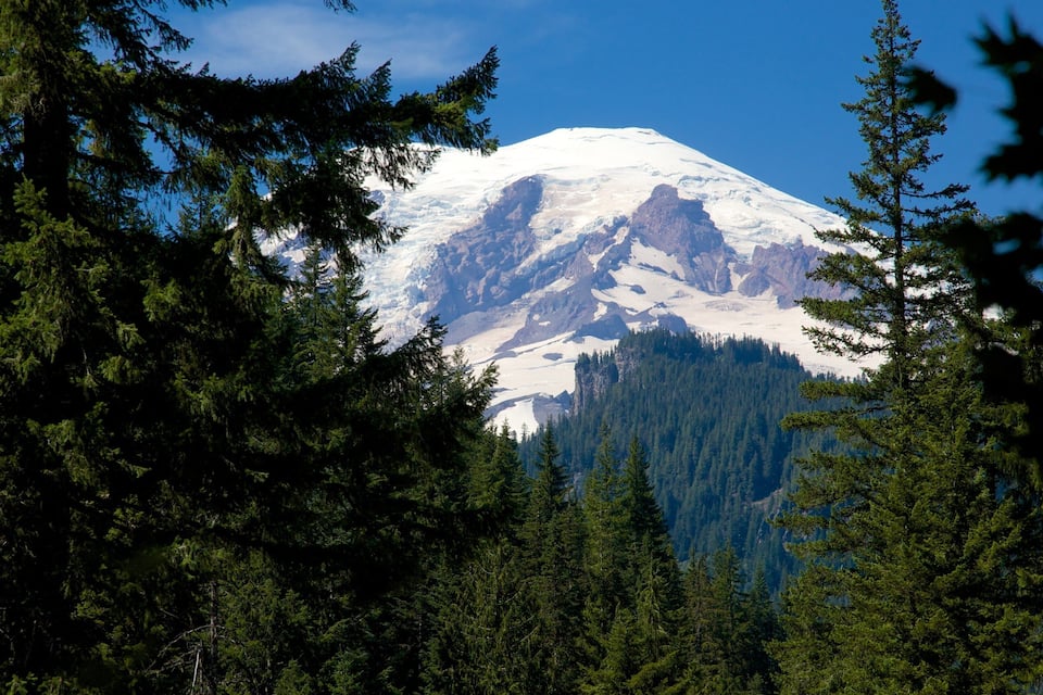A snow-capped mountain with dense forests in the foreground.