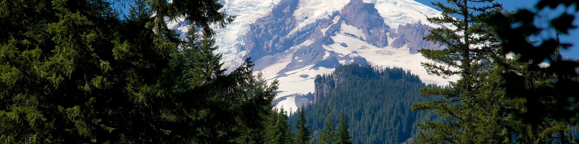 Mount Rainier National Park which includes snow, forests and tranquil scenes