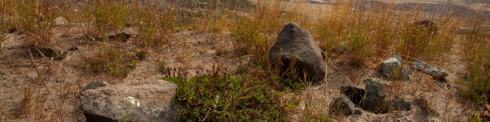 Monte Santa Elena ofreciendo vistas de paisajes y montañas
