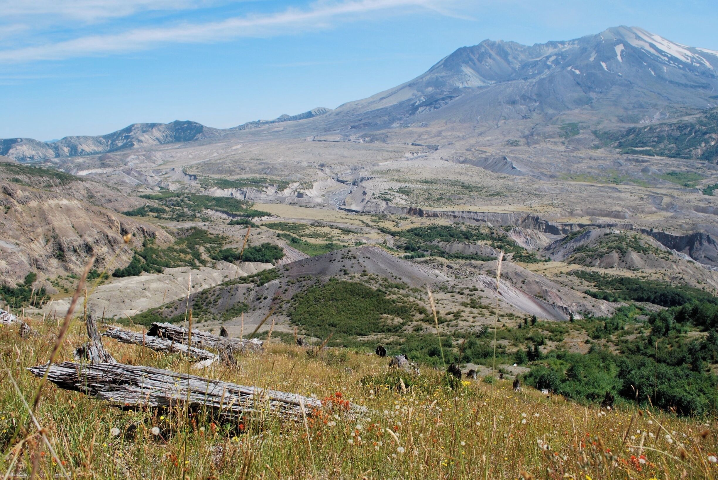 super spot, to see absolutely