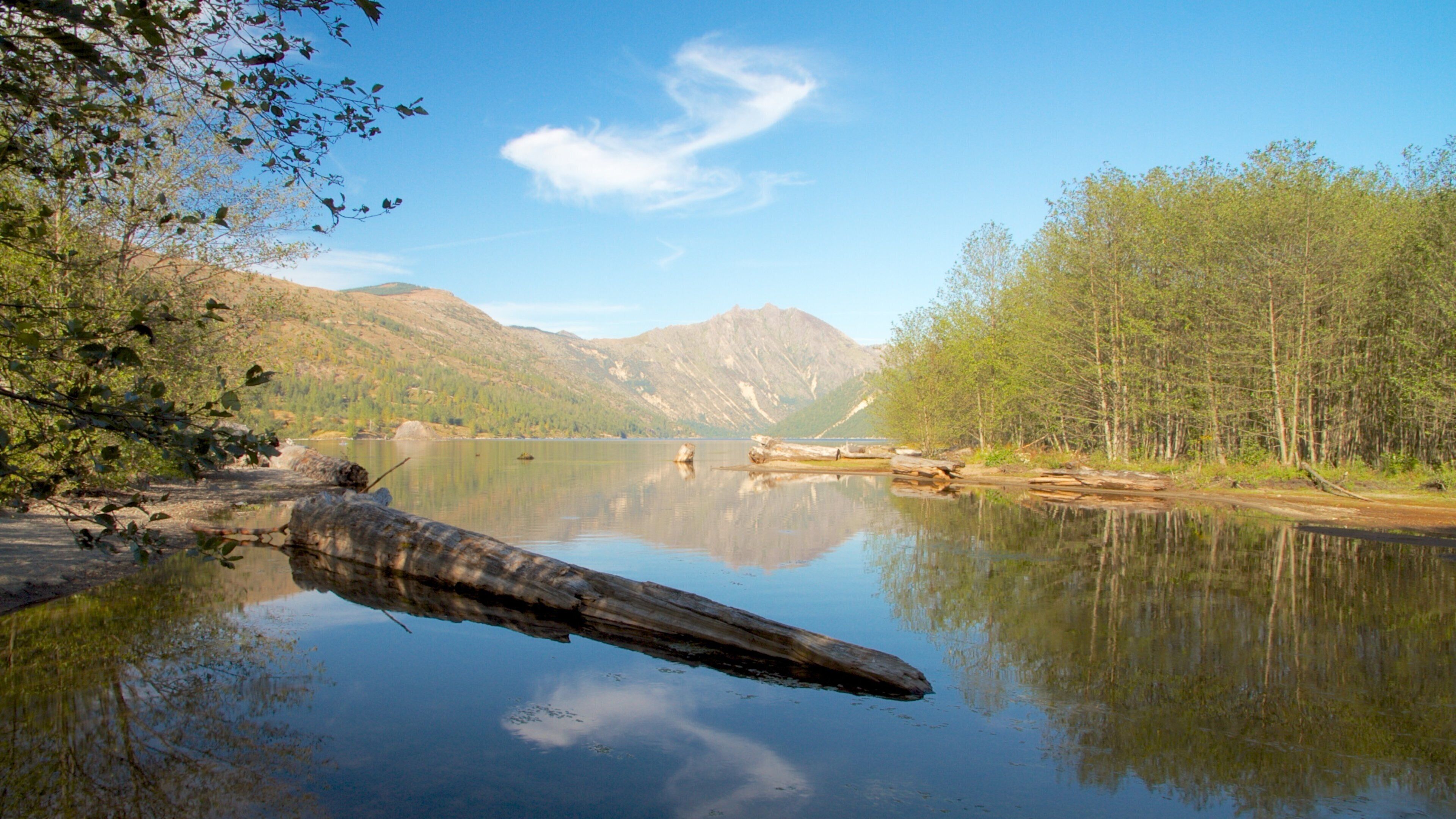 Mount St. Helens reflected in tranquil waters of Castle Rock, Washington on a clear day with lush greenery
