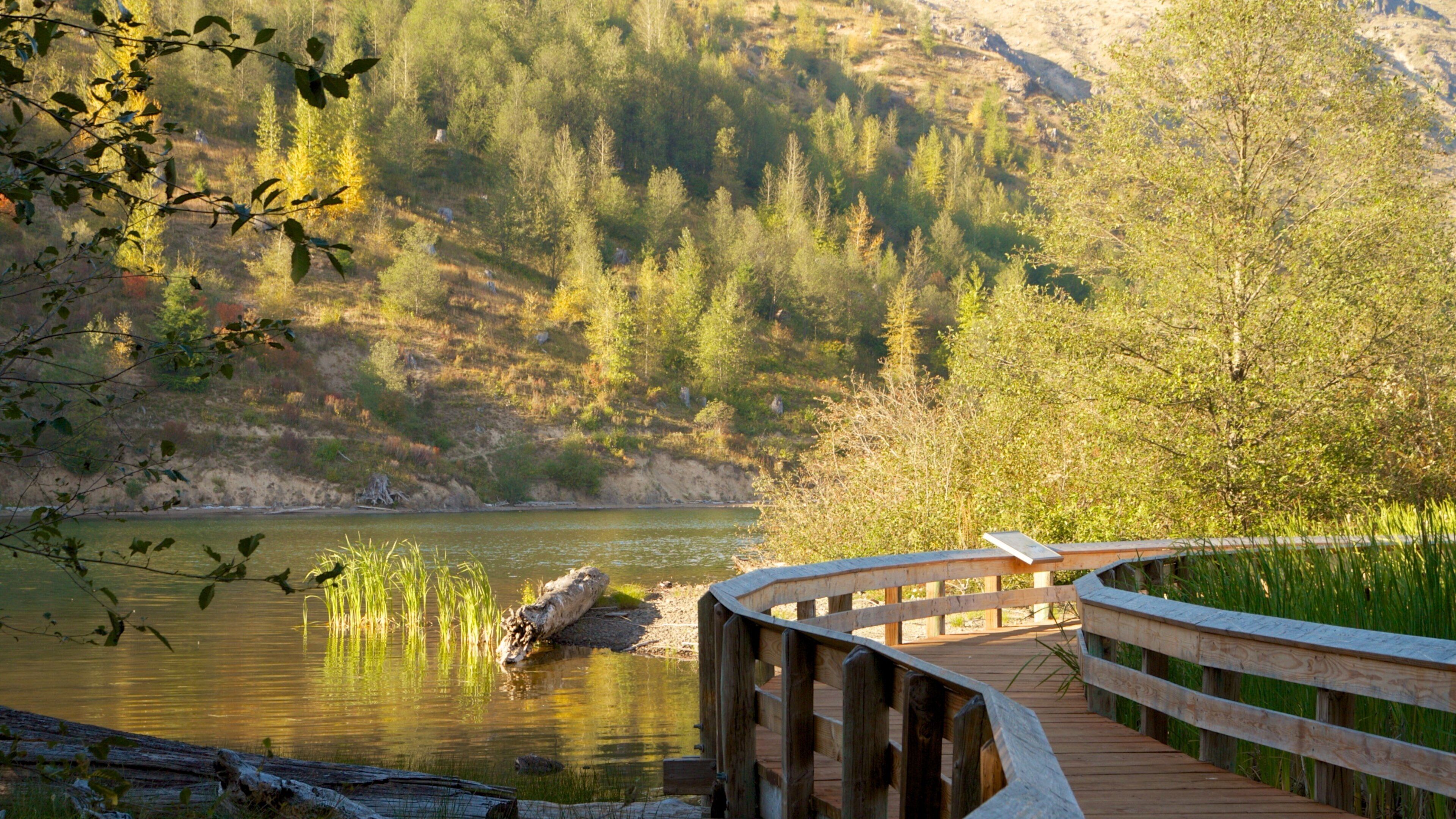 Mountain view with winding boardwalk near Mount St. Helens in Castle Rock, Washington during daylight hours