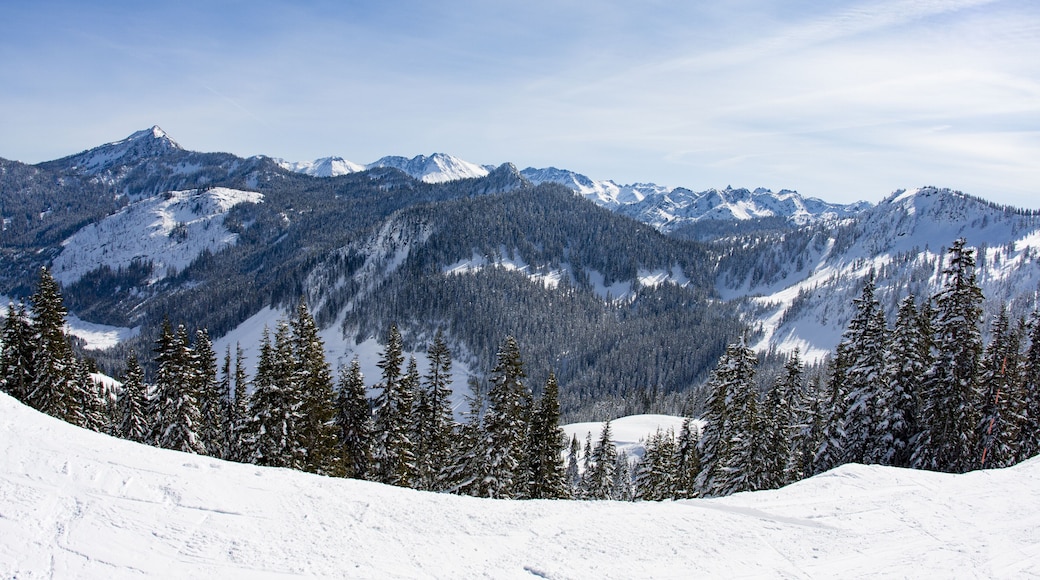 Centro de ski Stevens Pass