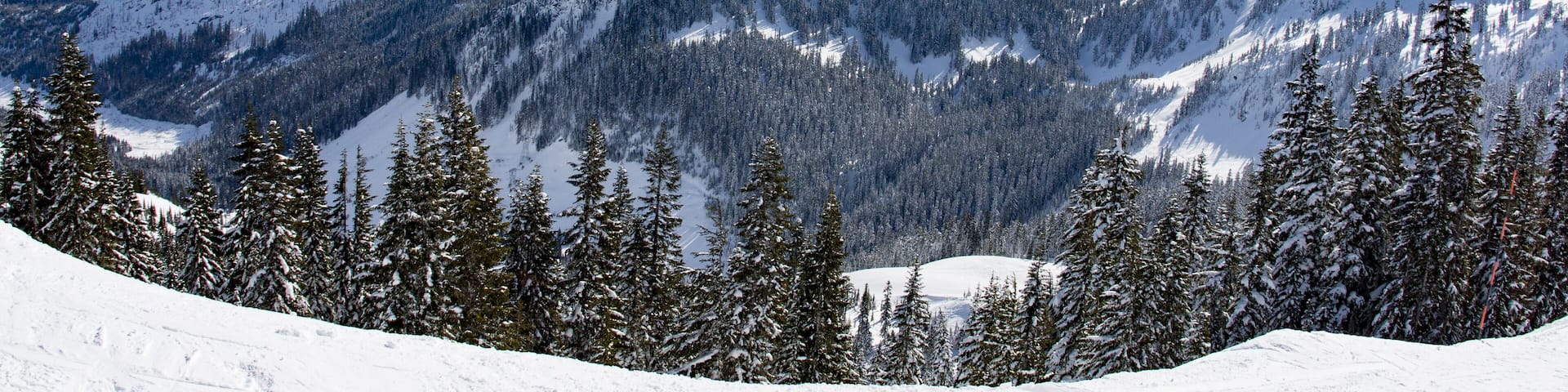 Stevens Pass Mountain Landscape Sunny Day Cascade Mountains; Shutterstock ID 500999293; Purchase Order: -