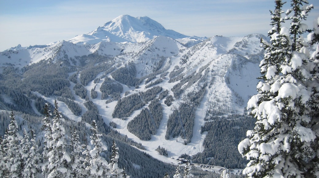 Crystal Mountain Ski Area which includes forest scenes, mountains and landscape views