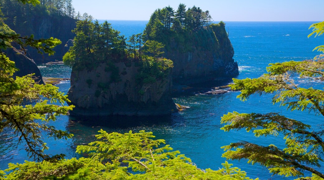 Cabo Flattery ofreciendo vistas de paisajes, escenas forestales y una bahía o puerto