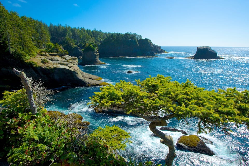 A coastal landscape with dense green forests, rocky cliffs, and a clear blue sea.