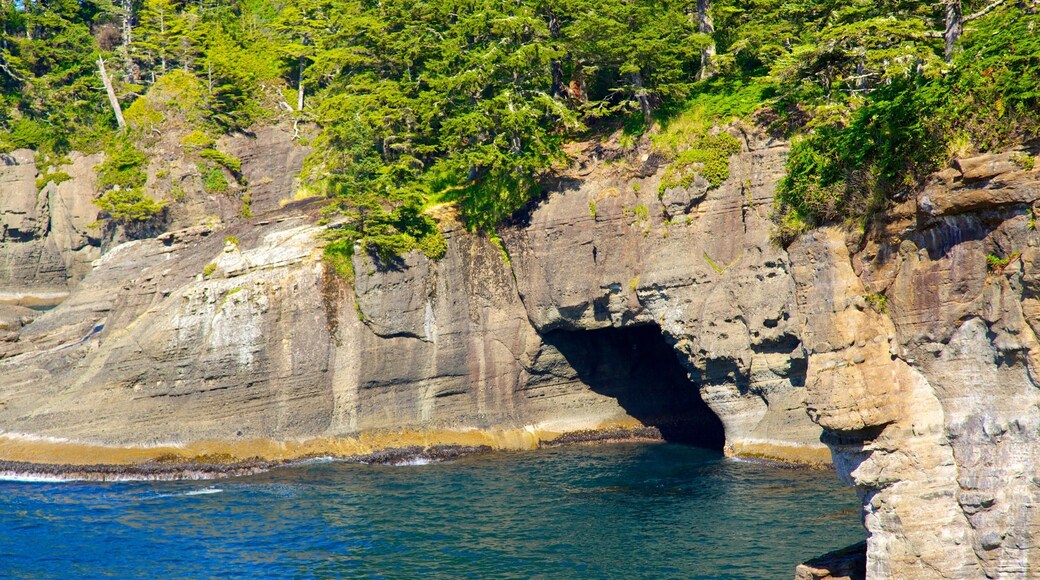 Cabo Flattery mostrando vistas generales de la costa y costa escarpada