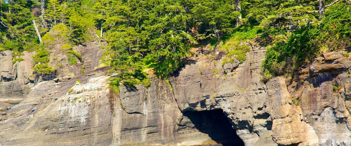Cape Flattery featuring general coastal views and rocky coastline
