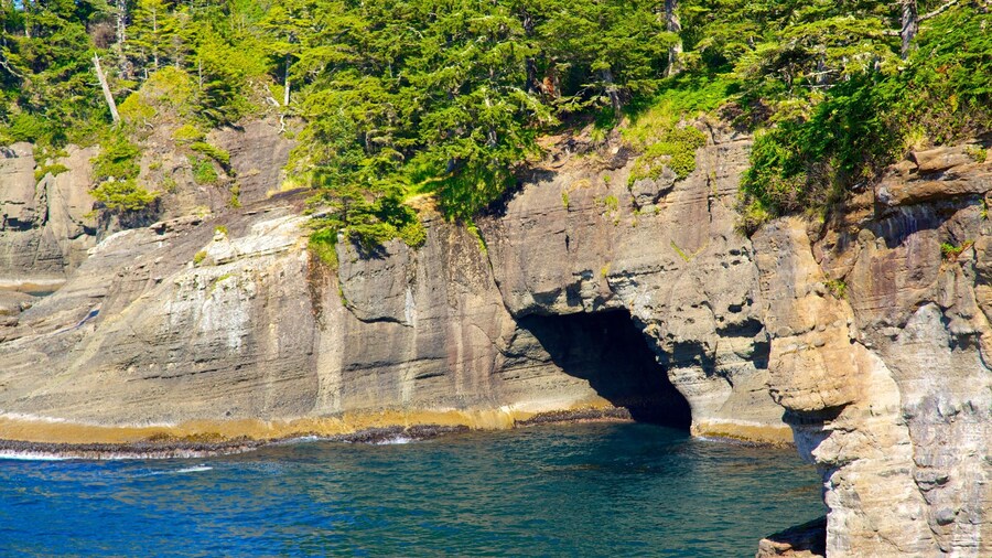 Cape Flattery featuring general coastal views and rocky coastline