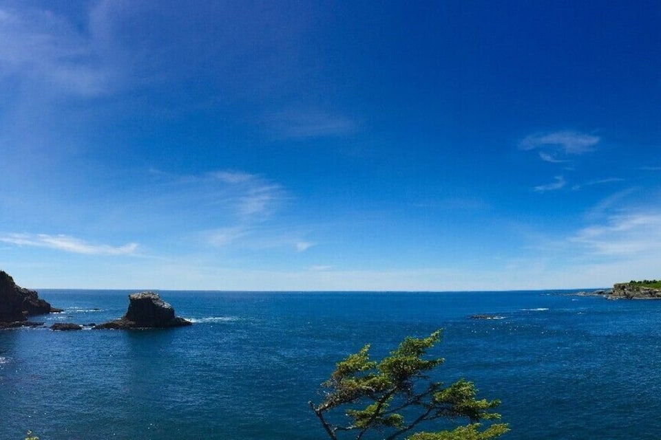 A coastal landscape with a clear blue sky, rocky shores, and a small island with trees.