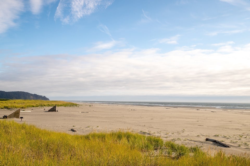 A beach with grassy dunes, a clear sky, and a distant forest.