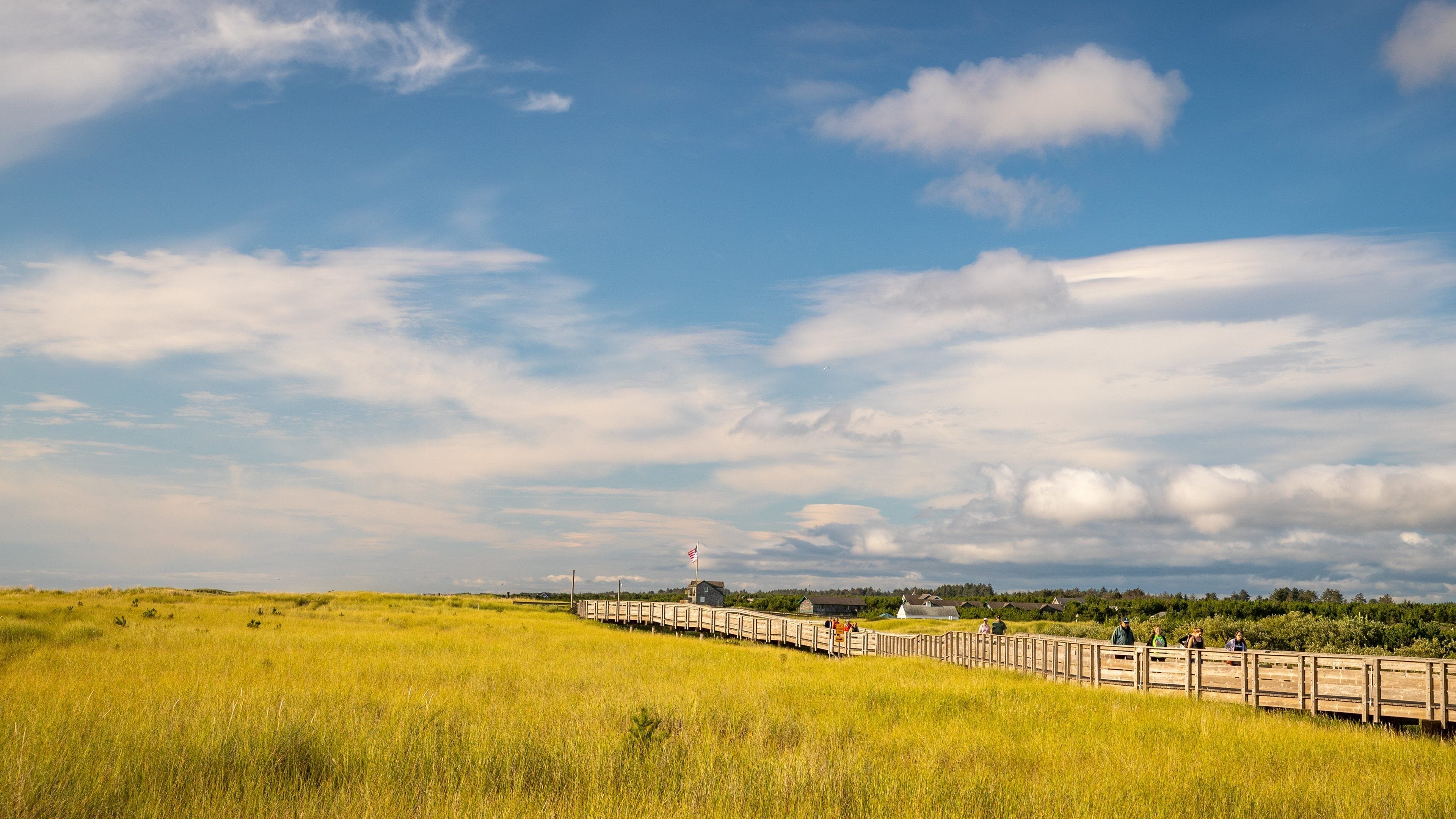Long Beach which includes tranquil scenes