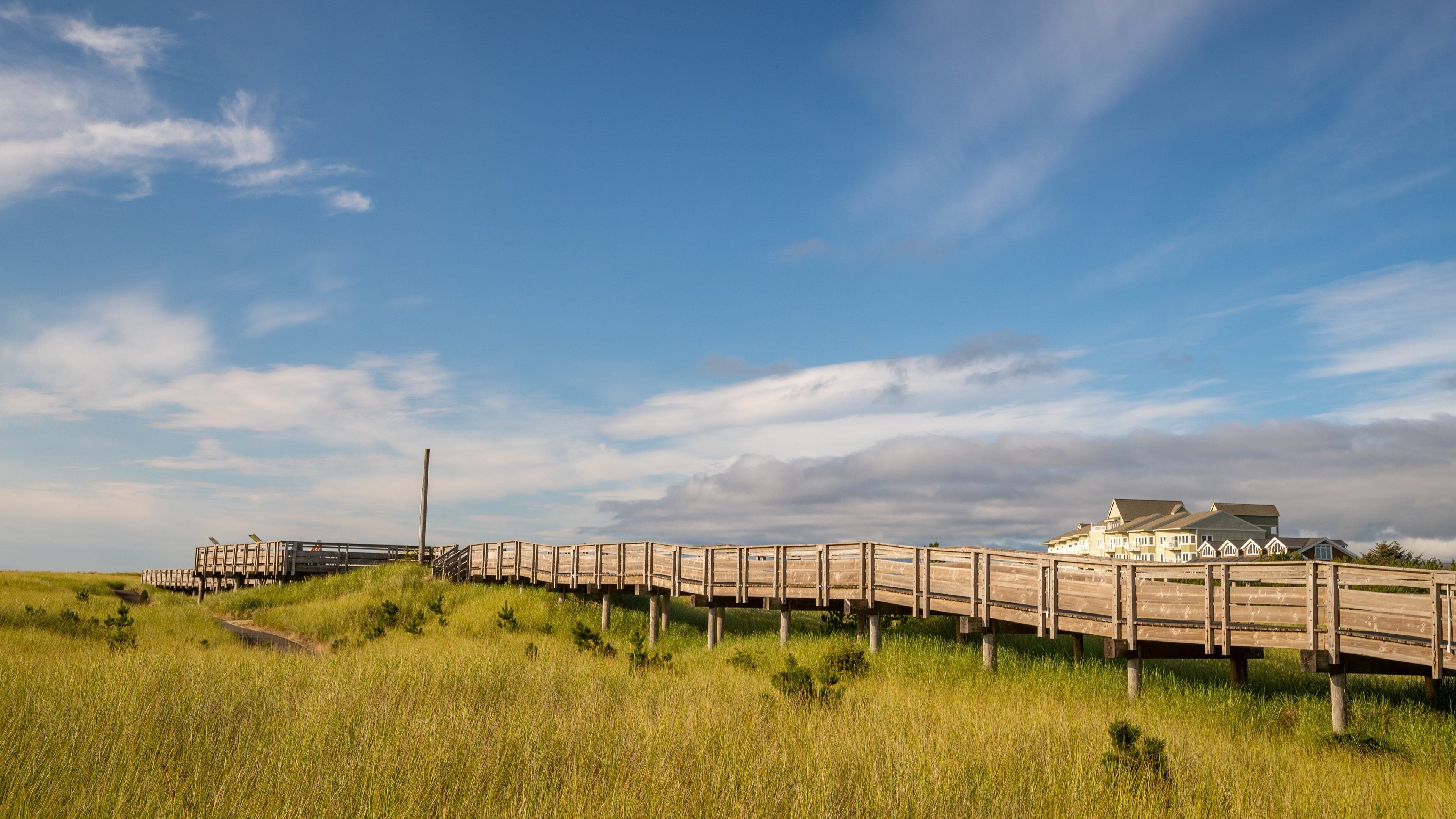 Long Beach which includes tranquil scenes