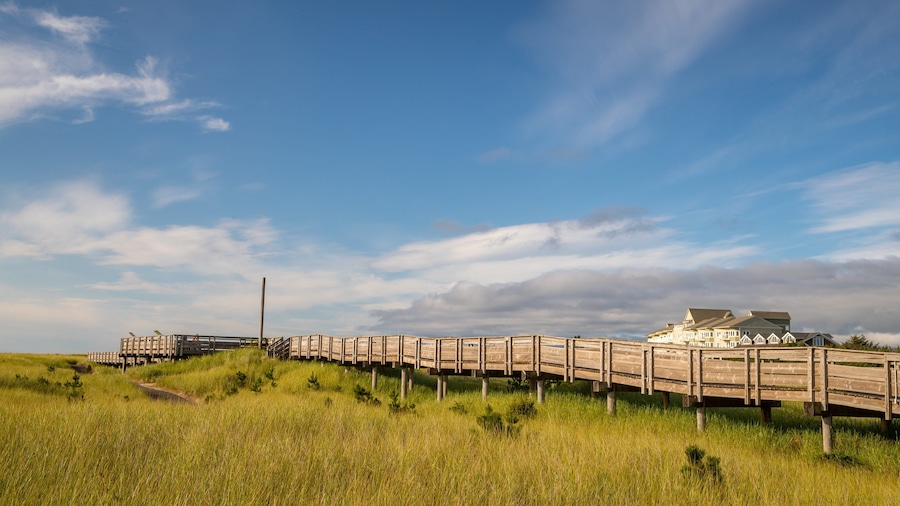 Long Beach which includes tranquil scenes