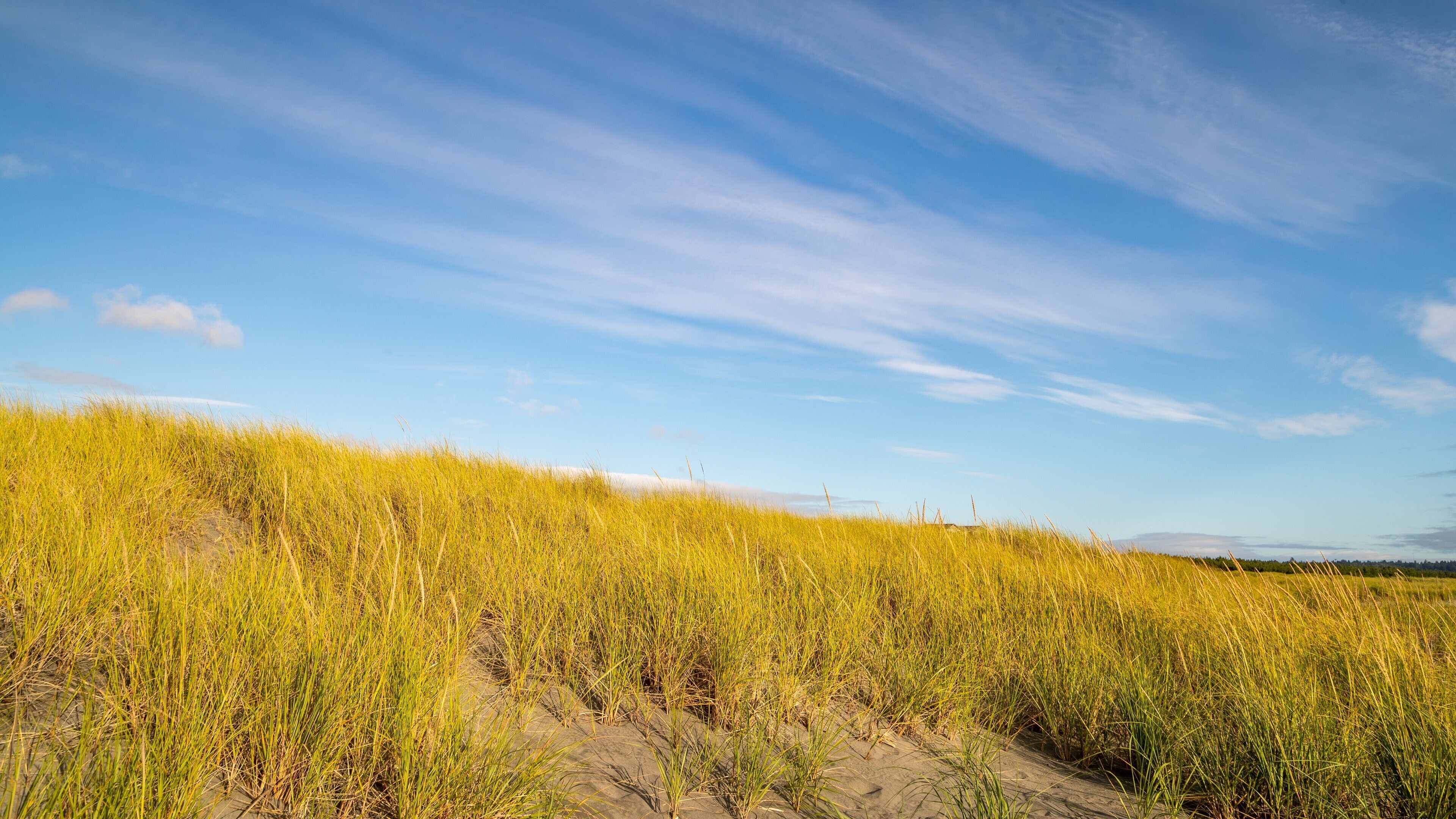 Long Beach featuring tranquil scenes