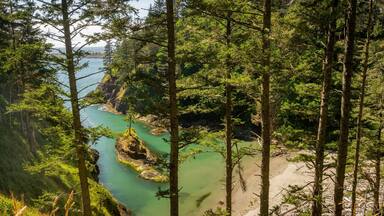 Cape Disappointment State Park which includes general coastal views, landscape views and a beach
