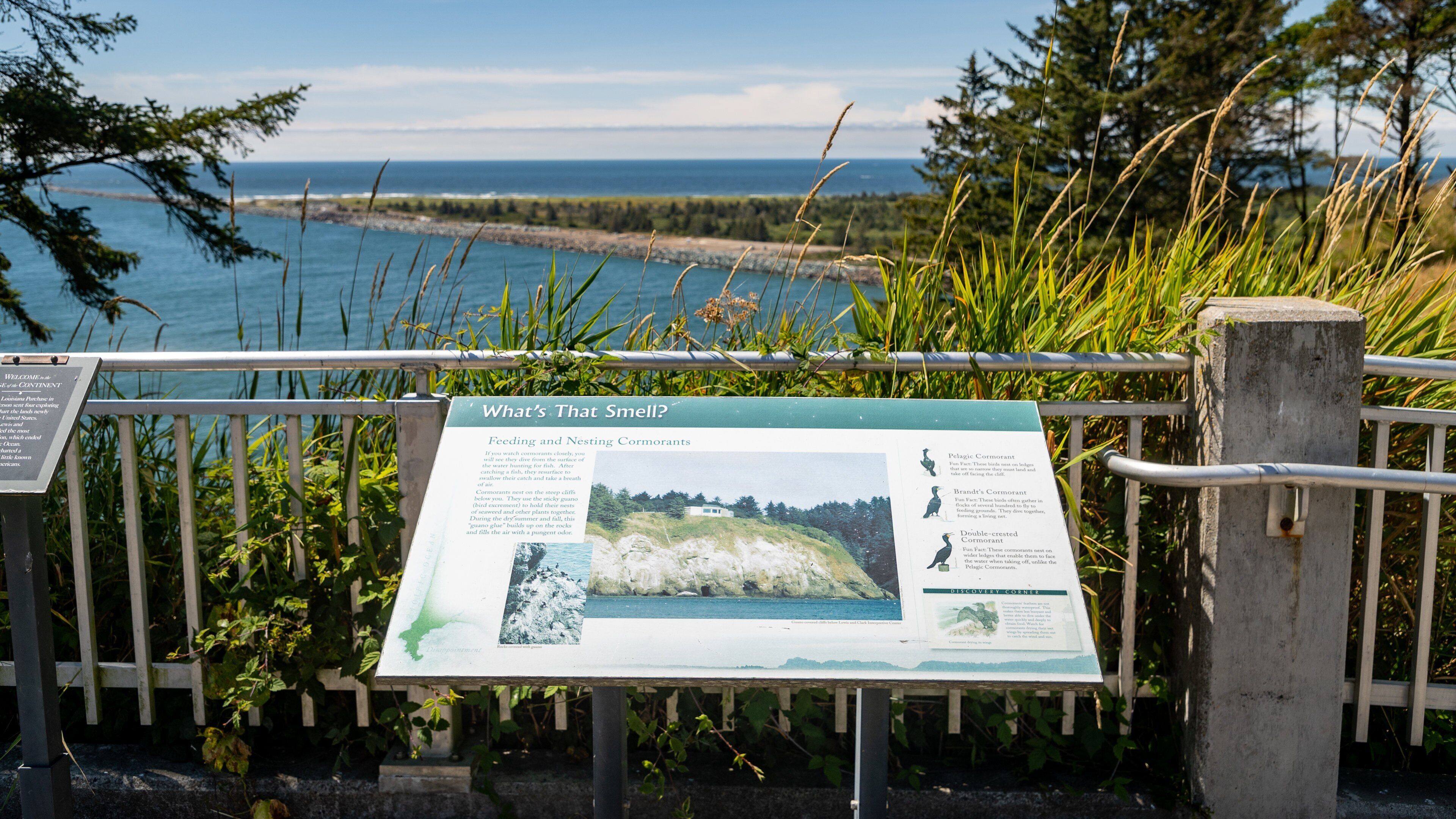 Cape Disappointment State Park showing views, signage and general coastal views