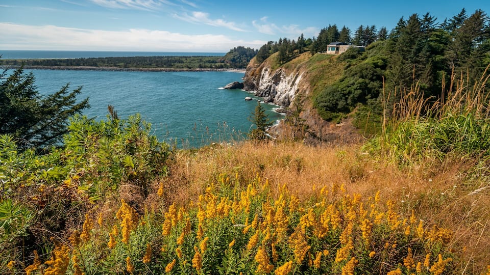 A coastal landscape with a house on a cliff overlooking the sea.