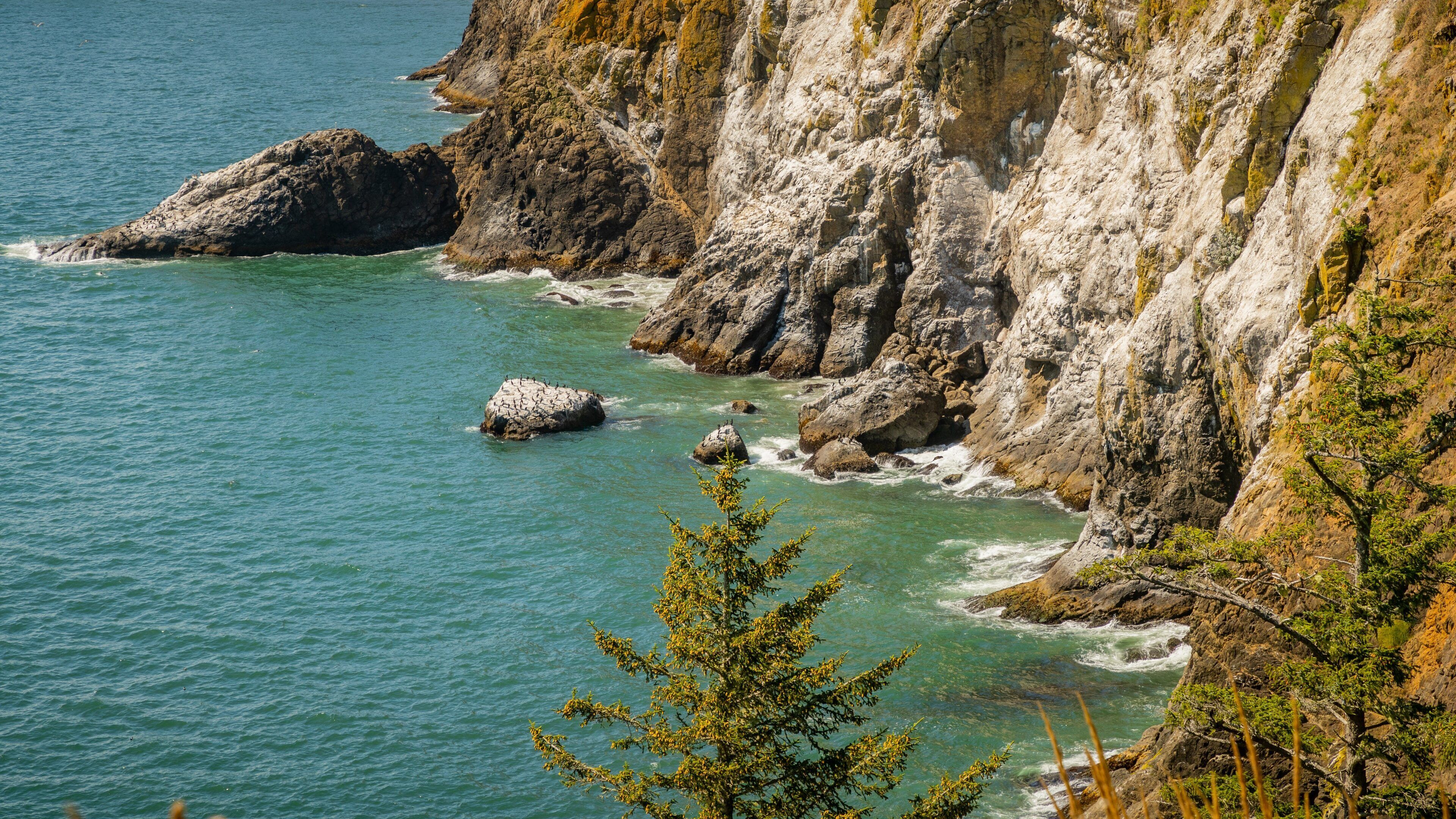 Cape Disappointment State Park featuring general coastal views and rugged coastline