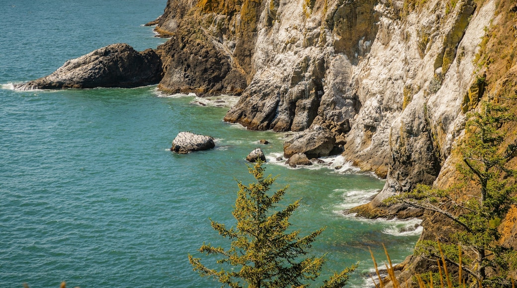 Cape Disappointment State Park featuring general coastal views and rugged coastline