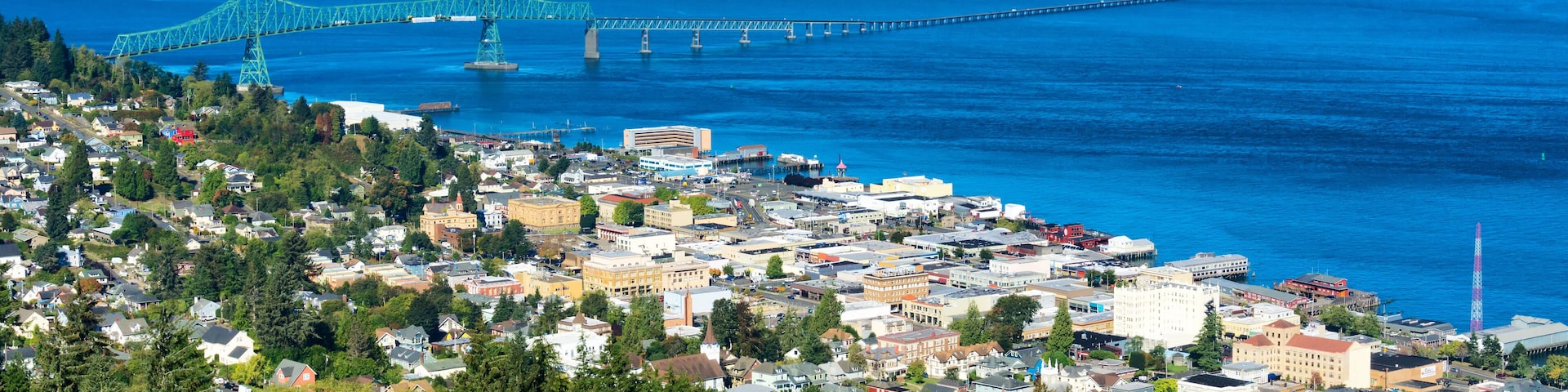 Une ville cÎtiÚre qui se distingue par un pont imposant, un quartier résidentiel densément peuplé et une colline boisée.